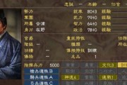 《三国志13威力加强版》如何成功追求大小乔攻略详解（成功的秘诀在这里）